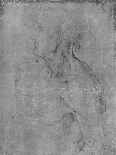 Kopf und Büste eines alten Mannes nach links, ca. 1480 von Leonardo da Vinci