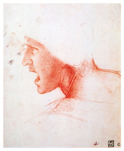 Kopf eines schreienden Mannes im Profil nach links, 1503-1504 von Leonardo da Vinci