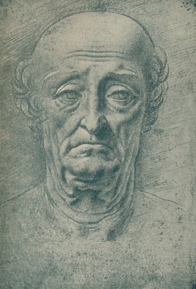 Kopf eines alten Mannes von Leonardo da Vinci