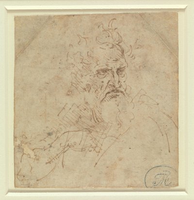 Kopf eines grimmig blickenden Greises mit rechtem Arm von Leonardo da Vinci