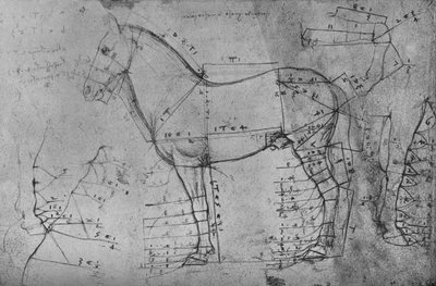 Vermessene Zeichnung eines Pferdes im Profil nach links, ca. 1480, 1945 von Leonardo da Vinci
