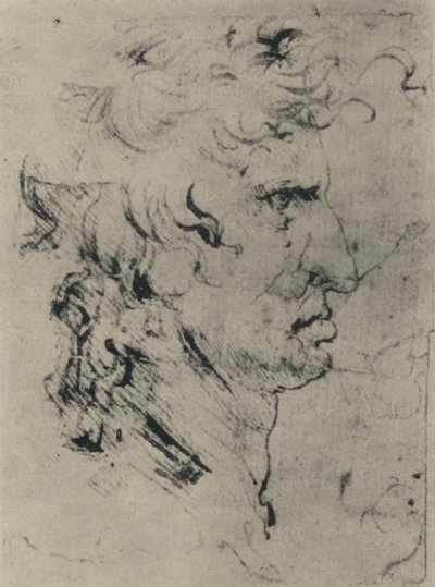Profil eines Mannes nach rechts, ca. 1480, 1945 von Leonardo da Vinci