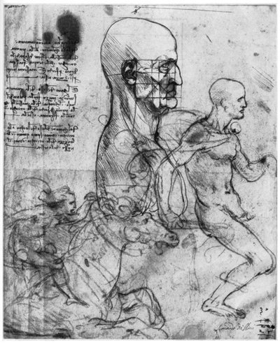 Profil eines Männerkopfes und Studien von zwei Reitern, um 1490 und um 1504, 1954 von Leonardo da Vinci