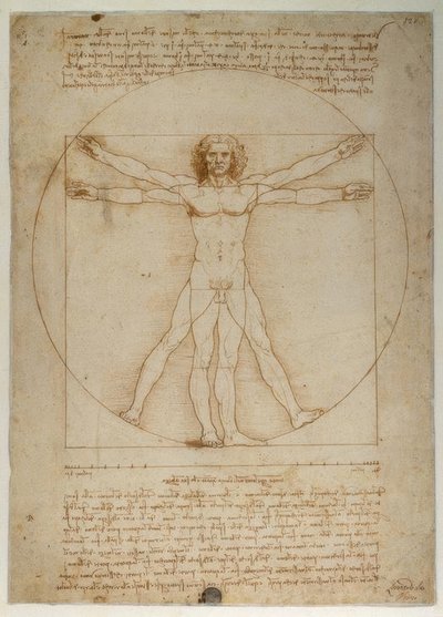 Proportionsschema der menschlichen Gestalt nach Vitruv von Leonardo da Vinci