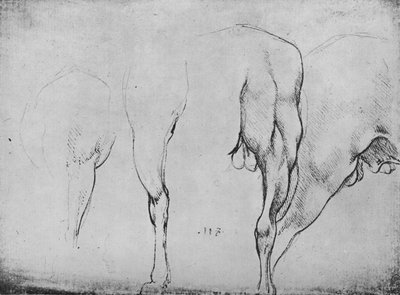 Studien von Pferdebeinen, 1480, 1945 von Leonardo da Vinci