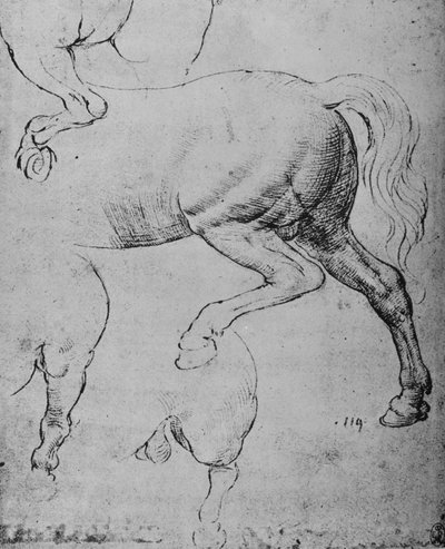 Studien der Hinterviertel und Hinterbeine eines Pferdes, ca. 1480, 1945 von Leonardo da Vinci