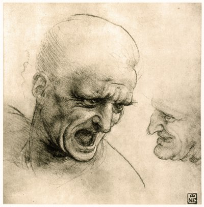 Studie für den Kopf eines Kriegers von Leonardo da Vinci