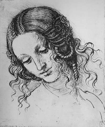 Studie eines Frauenkopfes, um 1480, 1945 von Leonardo da Vinci