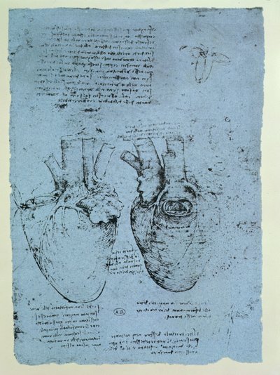 Das Herz, Faksimile des Windsor-Buchs von Leonardo da Vinci