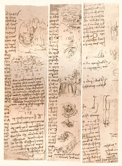 Drei Zeichnungen, um 1472-um 1519, 1883 von Leonardo da Vinci