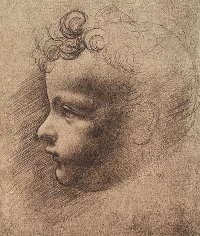 Kopf eines kleinen Jungen von Leonardo da school of Vinci