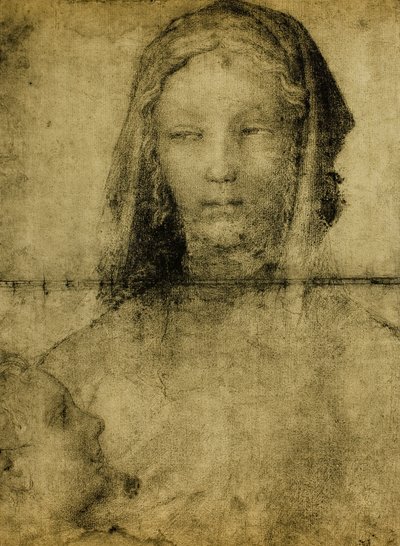 Studie für die Jungfrau; Zeichnung aus der Schule von Leonardo. Der Louvre, Paris von Leonardo da school of Vinci