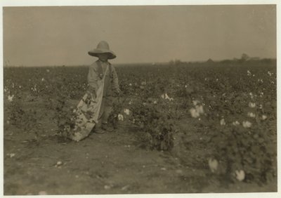 Der 5-jährige Willie Hesse pflückt 15 Pfund Baumwolle pro Tag auf der 80 Hektar großen Farm seiner Eltern in der Nähe von West, Texas, 1913 von Lewis Wickes Hine