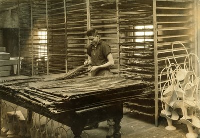 Ein 15-jähriger Junge sortiert Cycas-Blätter bei der Boston Floral Supply Company von Lewis Wickes Hine