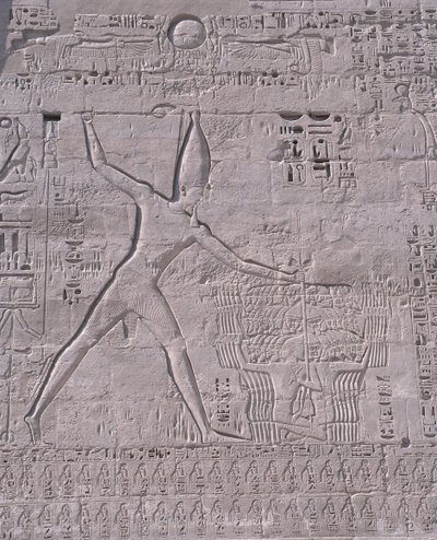 Schnitzereien an der Wand eines Tempels, Medinet Habu, Luxor, Ägypten von Unbekannt Unbekannt