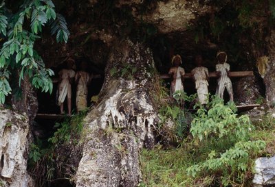 Grabnischen mit Tau Tau Totenfiguren, Dorf Marrante, Tana Toraja, Insel Sulawesi, Indonesien von Unbekannt Unbekannt