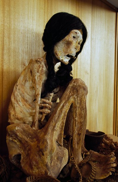 Mumie bekannt als Miss Chile, aus San Pedro de Atacama, Chile, 500 v. Chr. von Unbekannt Unbekannt