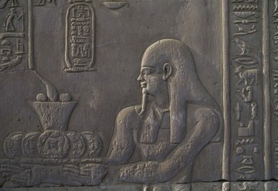 Relief, das einen Spender darstellt, Tempel von Kom Ombo, Ägypten, ägyptische Zivilisation, ptolemäische Dynastie, 2.-1. Jahrhundert v. Chr. von Unbekannt Unbekannt