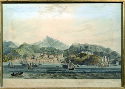 Ansicht der Stadt St. George und Richmond Heights auf der Insel Grenada, graviert von William Daniell, ca. 1810 von Lieutenant Colonel J. Wilson