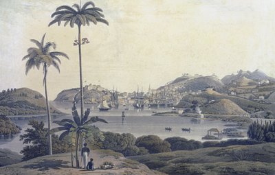 Ansicht der Stadt St. George auf der Insel Grenada, vom Belmont Estate aus gesehen, graviert von William Daniell (1769-1837), um 1810 von Lieutenant Colonel J. Wilson
