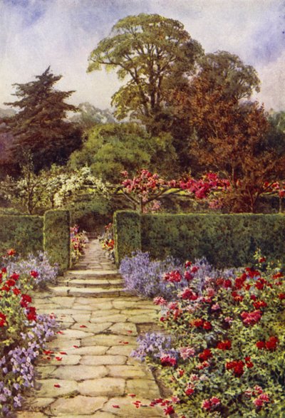 Der Rosenweg von Lilian Stannard
