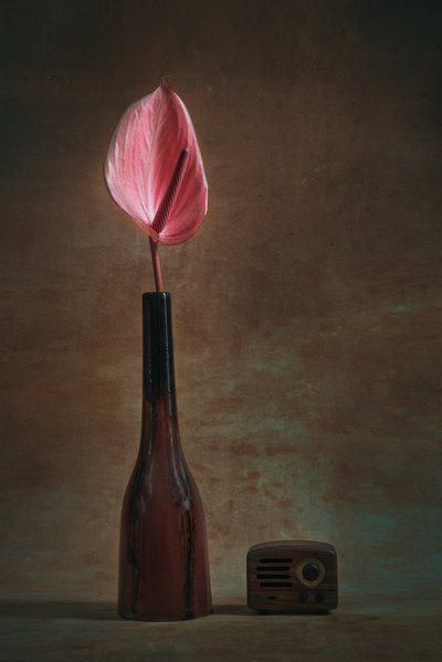 Elegantes Anthurium und Radio von Liu Xing