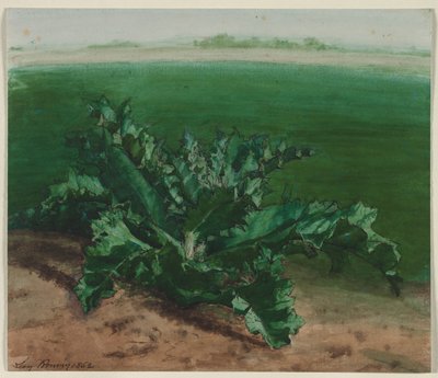 Studie einer Pflanze, möglicherweise Distel von Léon Bonvin