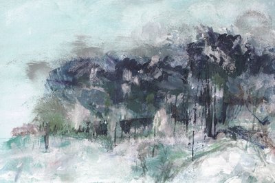 Nebliger Winterwald von Lori Ann Folz