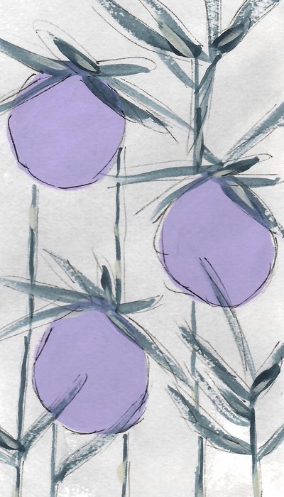 Lila Botanische Früchte von Lori Ann Folz