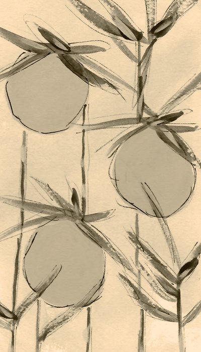 Sepia-Baumwollpflanzen von Lori Ann Folz