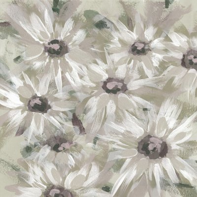 Weiche Gänseblümchenblüten von Lori Ann Folz