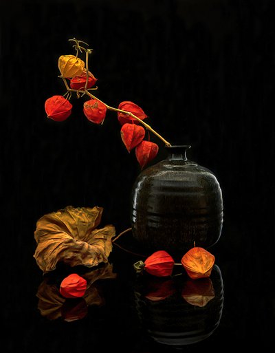 Herbstlaternen Stillleben von Louie Luo