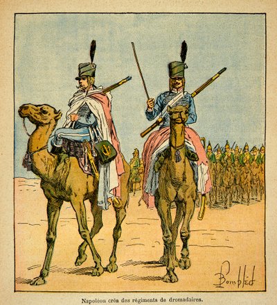 Während des Ägyptenfeldzugs schuf Napoleon Bonaparte Kamelregimenter, aus dem Buch „The Memorial of Saint Helene“ von Graf Emmanuel de Las Cases von Louis Charles Bombled