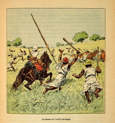 Der Krieg in Madagaskar - Anekdotische Geschichte der französischen Expeditionen von 1885-1895 von Henri Galli dit Galllichet (1854-1922), illustriert von Louis Bombled (1862-1927): Die Jagd auf wilde Ochsen in Madagaskar im Jahr 1895, Privatbesitz von Louis Charles Bombled