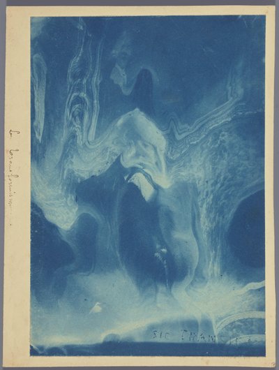 Le transformisme / Sic transit von Louis Ducos du Hauron (attributed to)