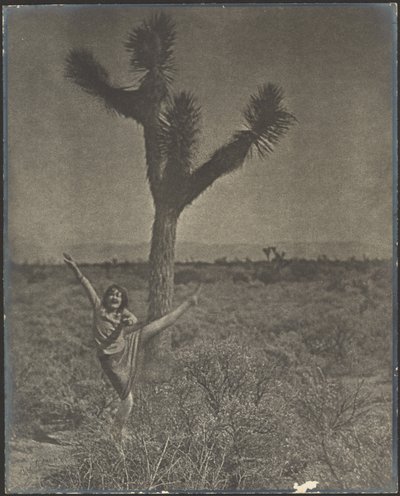 Tänzerin am Joshua Tree von Louis Fleckenstein