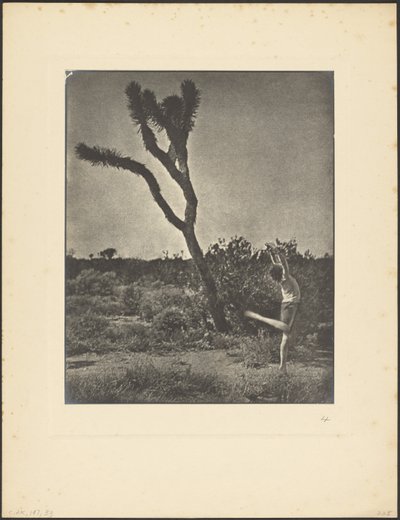 Tänzerin am Joshua Tree von Louis Fleckenstein