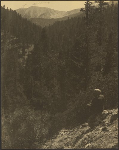 Fernsicht auf den Mt. Gorgonio von Louis Fleckenstein