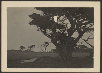 [Landschaft] von Louis Fleckenstein