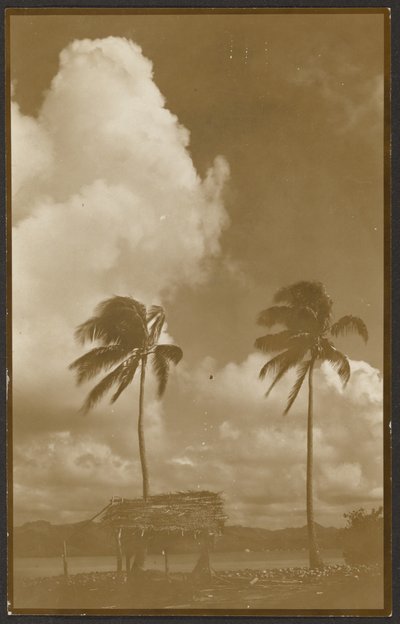 Landschaft mit Palmen von Louis Fleckenstein