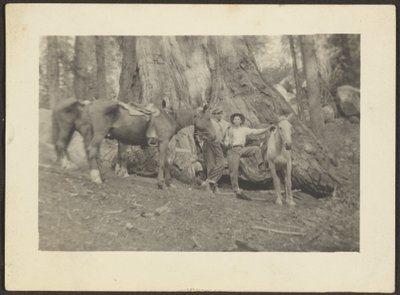 Männer und Packpferde in Waldlichtung von Louis Fleckenstein