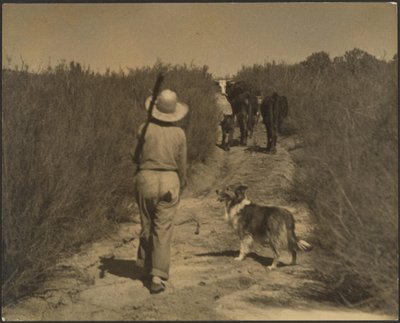 In einer Wüstenlandschaft von Louis Fleckenstein