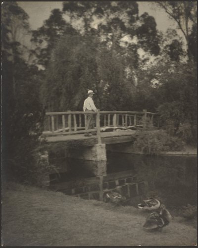 Rustikale Brücke von Louis Fleckenstein