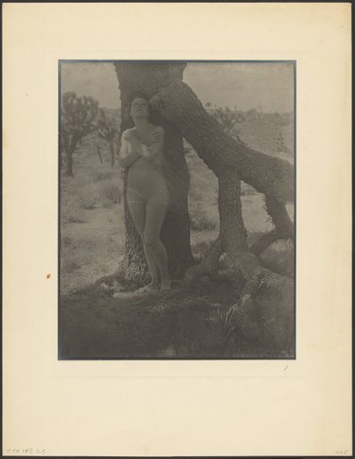 Geist des Joshua von Louis Fleckenstein
