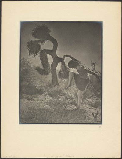 Der tölpelhafte Joshua von Louis Fleckenstein