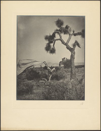 Der Wüstenwind von Louis Fleckenstein