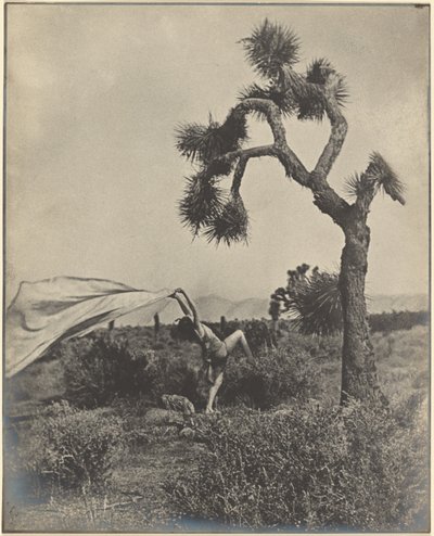 Der Wüstenwind von Louis Fleckenstein