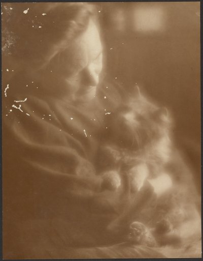 Das Haustier Angora von Louis Fleckenstein