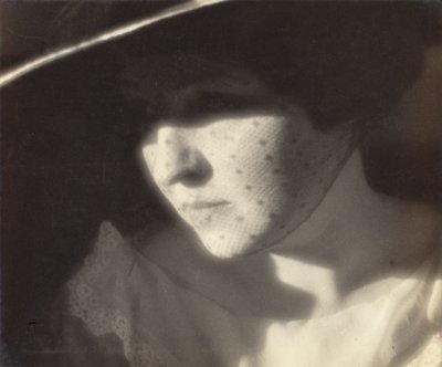 Die verschleierte Dame von Louis Fleckenstein