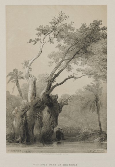 Ägypten und Nubien, Band III: Der heilige Baum von Metereah, 1849 von Louis Haghe